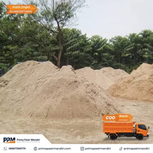 Pasir Putih Rangkas